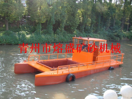 简易型水面保洁船